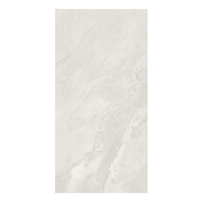 매트 텍스처 600x1200mm 현대적인 외관 벽과 바닥을 위한 실내 타일