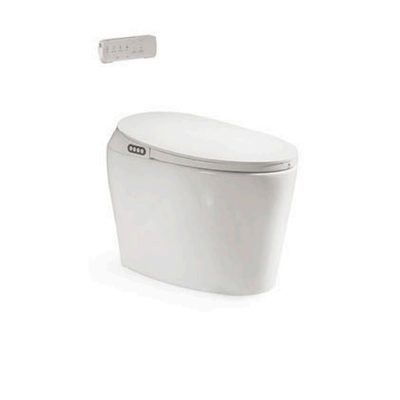 110v 자동 세라믹 욕실 WC 자생 공중 스마트 전기 플러싱 센서 지능적인 화장실 그릇